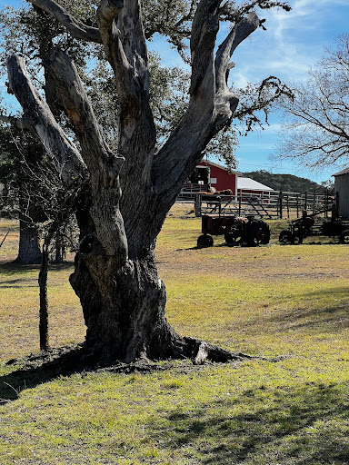 Dude Ranch «West 1077 Guest Ranch», reviews and photos, 9061 Bandera Creek Rd, Bandera, TX 78003, USA