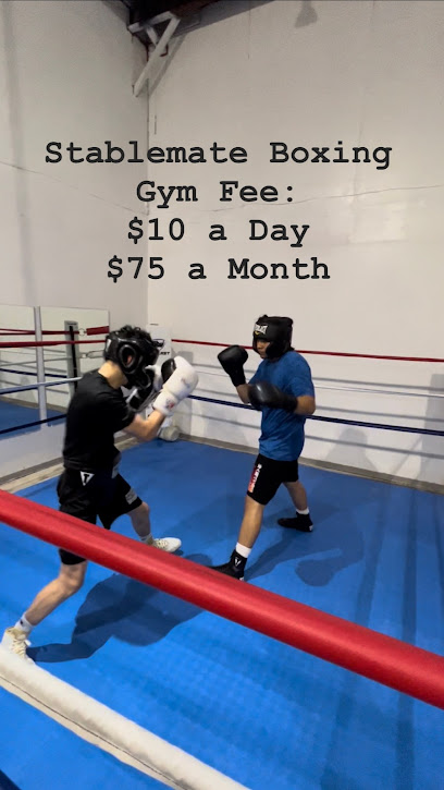 The Stablemate Boxing Gym - 5504 Bandera Rd, San Antonio, TX 78238