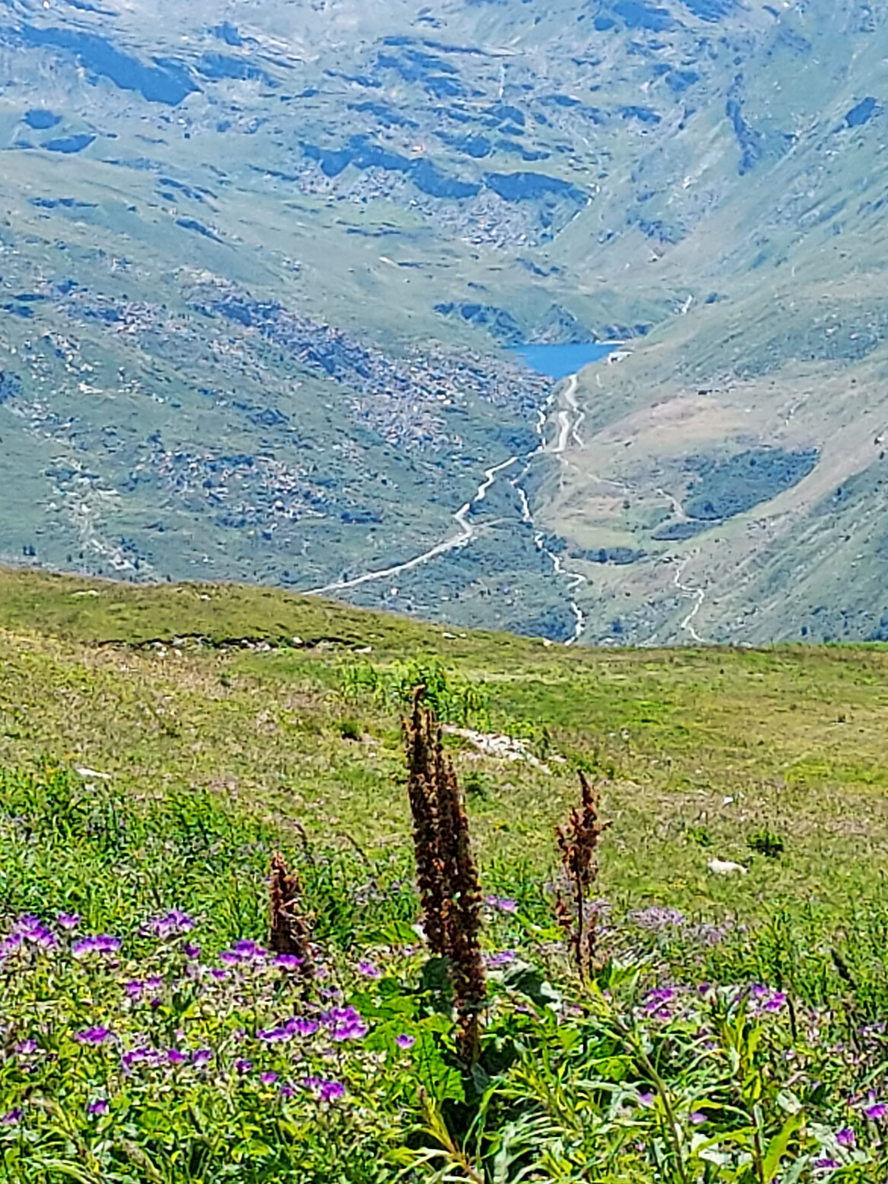 Photo n° 3 de l'avis de gaudillere.h fait le 07/07/2022 à 22:22