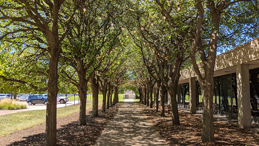 Museum «Memorial Art Gallery», reviews and photos, 500 University Ave, Rochester, NY 14607, USA