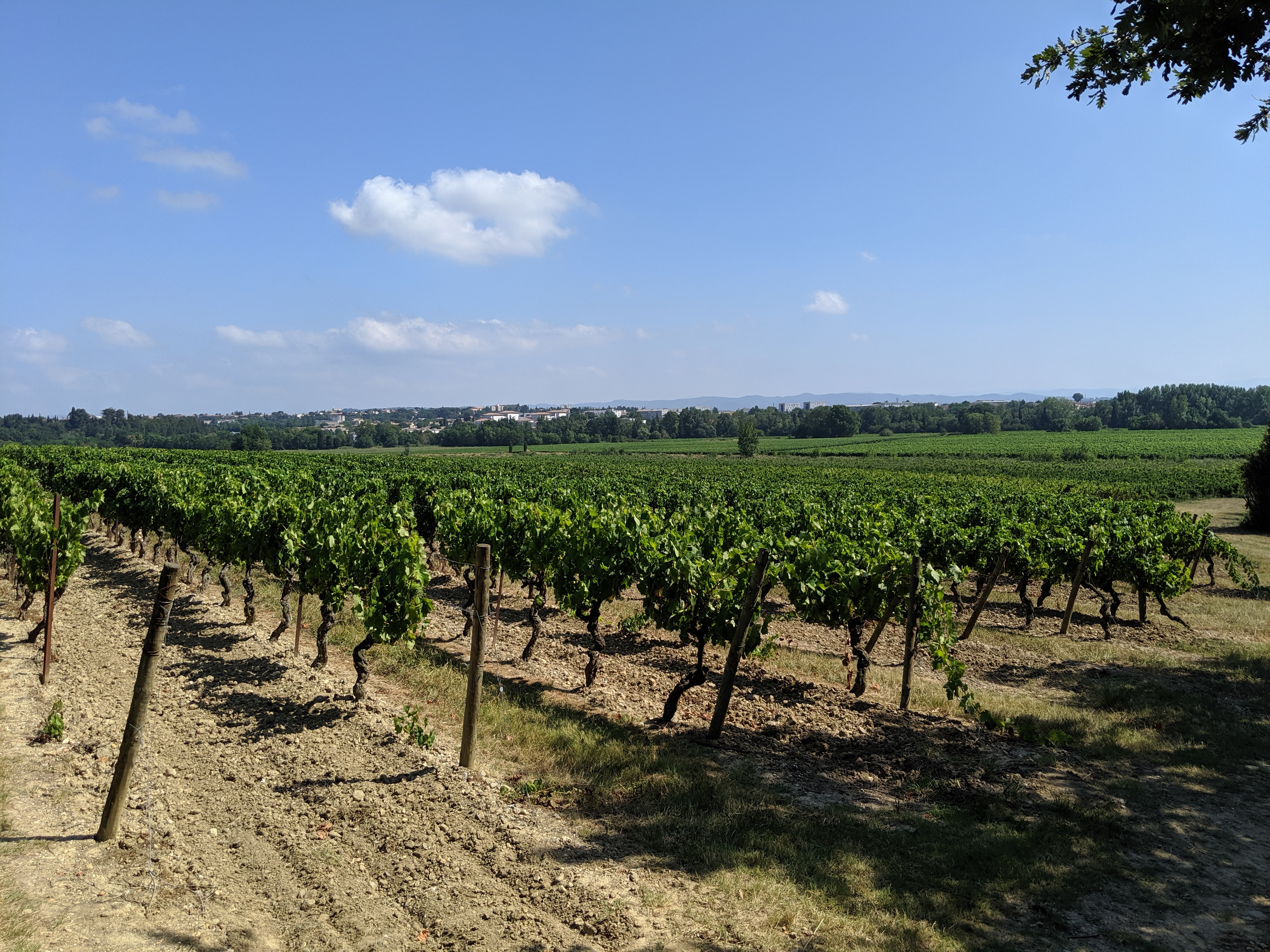 Photo n° 2 de l'avis de Javier.. fait le 09/08/2019 à 17:00