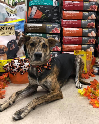 Pet Supply Store «Pets Choice», reviews and photos, 454 Daniel Webster Hwy, Merrimack, NH 03054, USA