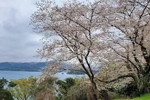 Wadamisaki Park image