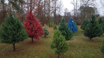 Christmas In Dixie Tree Farms