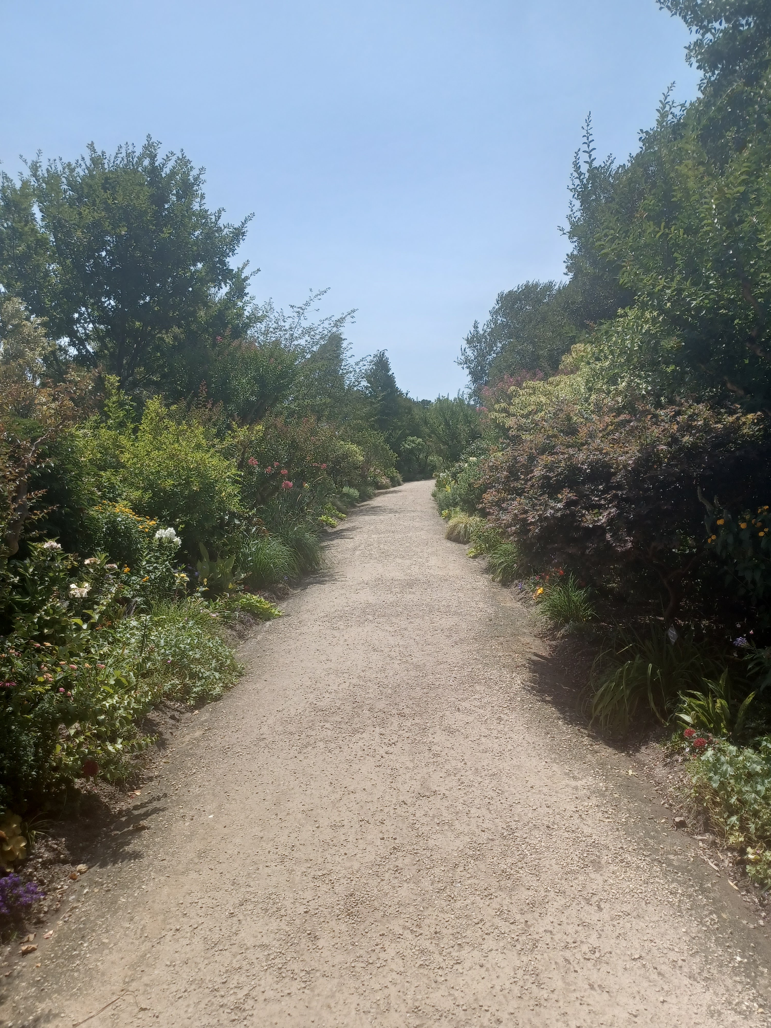 Photo n° 15 de l'avis de Denis.r fait le 18/07/2022 à 12:59