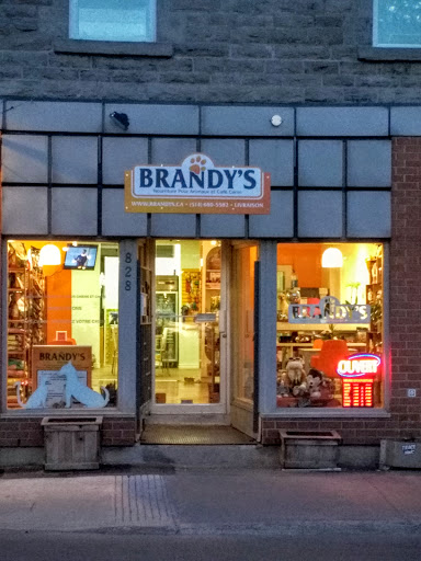 Brandy's Centre Holistique & Toilettage Canin