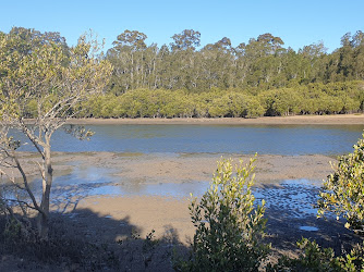 Cullendulla Mangrove Reserve