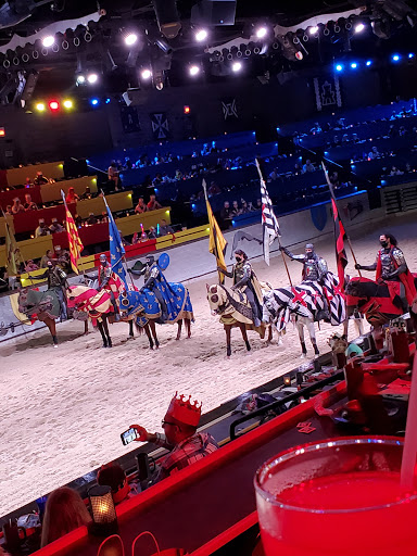 Dinner Theater «Medieval Times Dinner & Tournament», reviews and photos, 5900 Sugarloaf Pkwy #517, Lawrenceville, GA 30043, USA