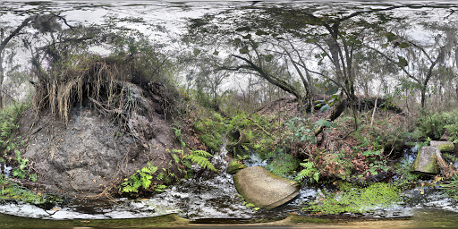 Nature Preserve «Triple Creek Nature Preserve», reviews and photos, 13112 Balm Boyette Rd, Riverview, FL 33579, USA