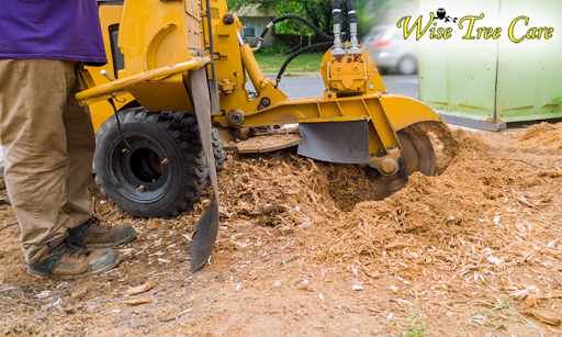 Step By Step How To Remove Grass To Mulch Around Trees 2