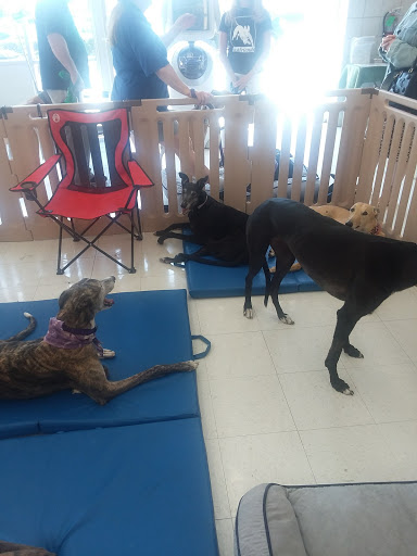 Pet Supply Store «Petco Animal Supplies», reviews and photos, 5961 Warner Ave, Huntington Beach, CA 92649, USA