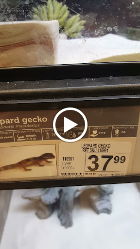 Pet Supply Store «Petco Animal Supplies», reviews and photos, 1052 Williams Reserve Blvd, Wadsworth, OH 44281, USA