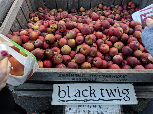 Gift Shop «Beech Spring Gift Shop», reviews and photos, 11600 Lee Hwy, Sperryville, VA 22740, USA