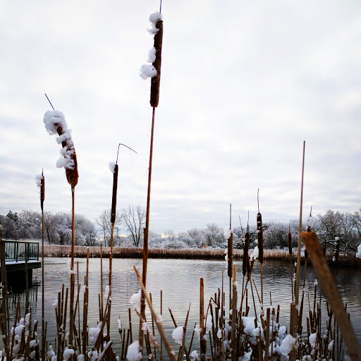 Community Center «Minnetonka Community Center», reviews and photos, 14600 Minnetonka Blvd, Minnetonka, MN 55345, USA