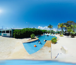 ANIMAL HOUSE PLAYA DEL CARMEN photo