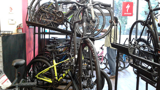 Bicycle Store «Fulton Bikes», reviews and photos, 1580 Fulton St, Brooklyn, NY 11213, USA