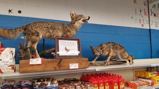 Grocery Store «P & R Discount Grocery», reviews and photos, 600 Scranton Carbondale Hwy, Eynon, PA 18403, USA