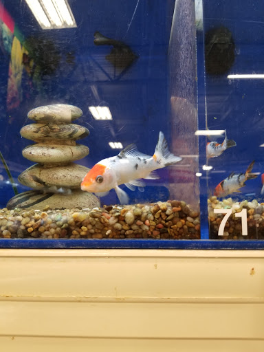 Pet Supply Store «PetSmart», reviews and photos, 10309 156th St E, Puyallup, WA 98373, USA