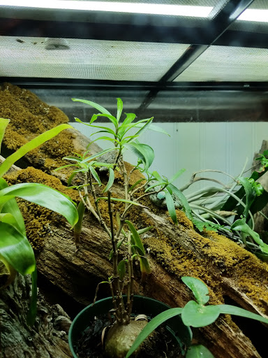 Gift Shop «The Rock and Art Shop», reviews and photos, 163 Main St, Ellsworth, ME 04605, USA