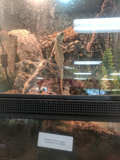 Pet Store «Zookeeper Exotics», reviews and photos, 9012 Research Blvd, Austin, TX 78758, USA