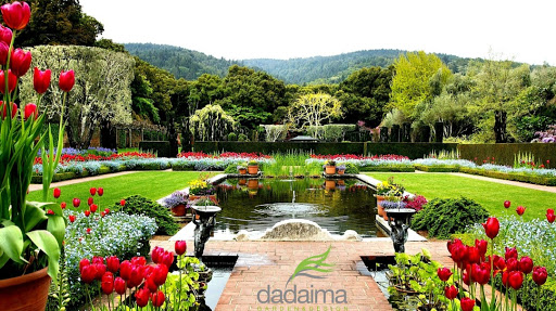 DADAIMA · Garden & Design
