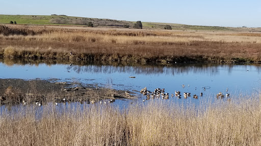 Baylands Nature Preserve
