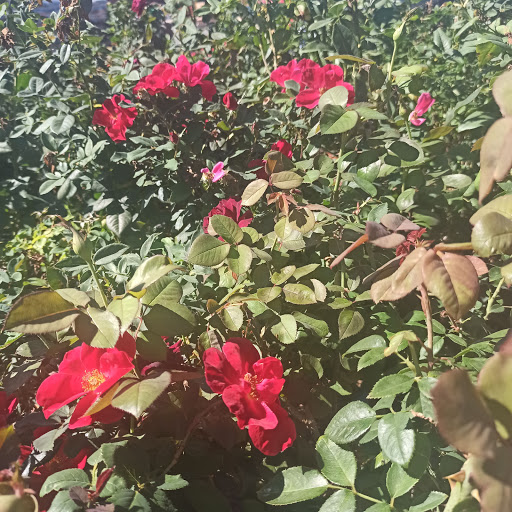 Home Improvement Store «The Home Depot», reviews and photos, 390 West St, Mansfield, MA 02048, USA