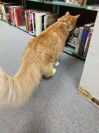 Book Store «The Book Bin», reviews and photos, 450 Court St NE, Salem, OR 97301, USA