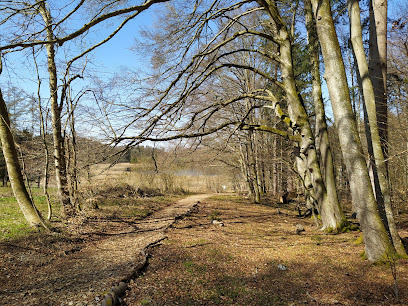 Waldruh Dietramszell - Bestattungswald