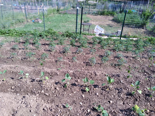 Park «Fort Circle Park», reviews and photos, Minnesota Ave SE, Washington, DC 20019, USA