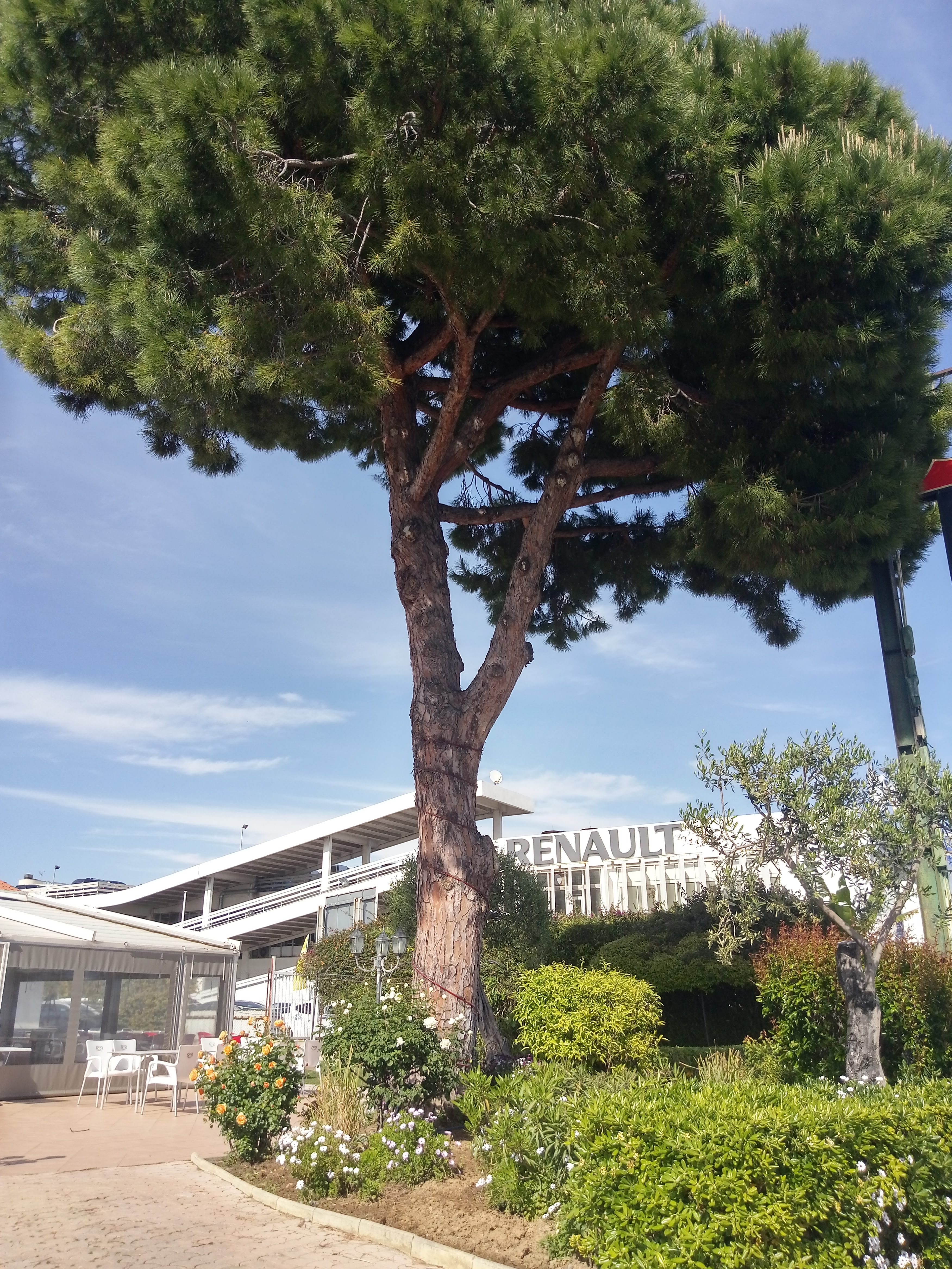 Photo n° 1 de l'avis de Cécile. fait le 10/05/2019 à 17:01