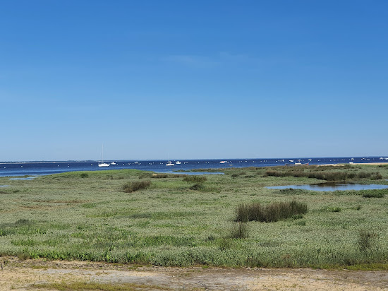 Bertic Beach