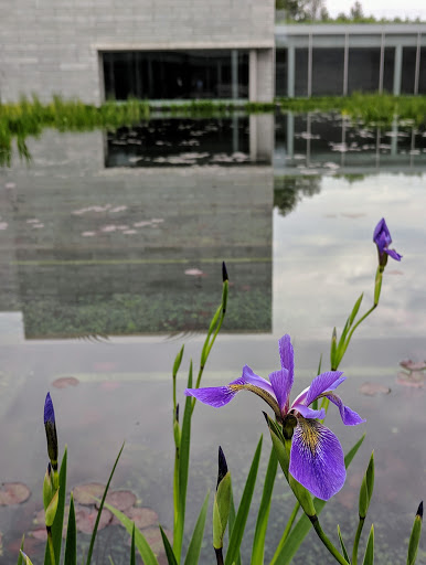 Modern Art Museum «Glenstone», reviews and photos, 12002 Glen Rd, Potomac, MD 20854, USA