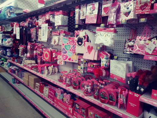 Discount Store «Dollar General», reviews and photos, 3969 Haverhill Rd, West Palm Beach, FL 33417, USA