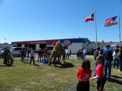 Transmission Shop «AAMCO Transmissions & Total Car Care», reviews and photos, 1402 S Seguin Ave, New Braunfels, TX 78130, USA