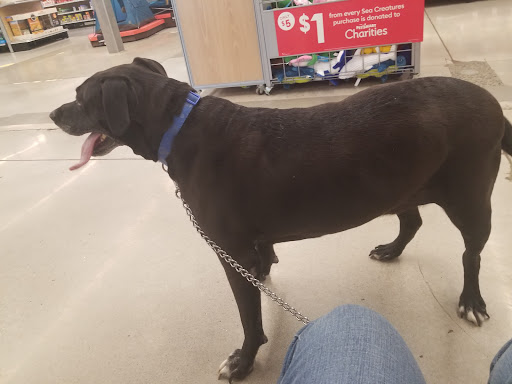 Pet Store «PetSmart», reviews and photos, 267 Berlin Turnpike, Berlin, CT 06037, USA