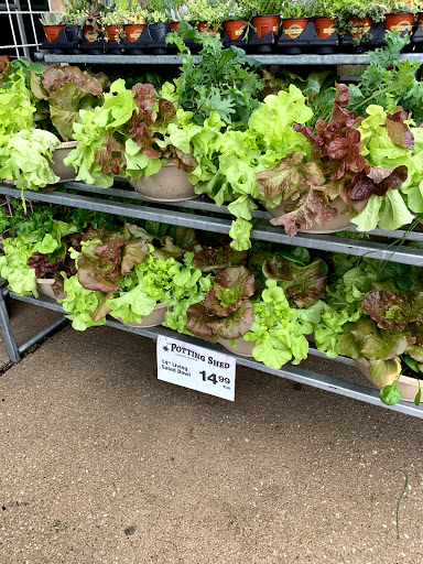 Grocery Store «Jewel-Osco», reviews and photos, 890 N Western Ave, Lake Forest, IL 60045, USA