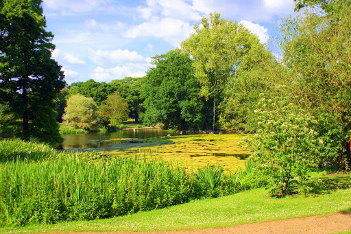 Botanical gardens Kingston-upon-Thames