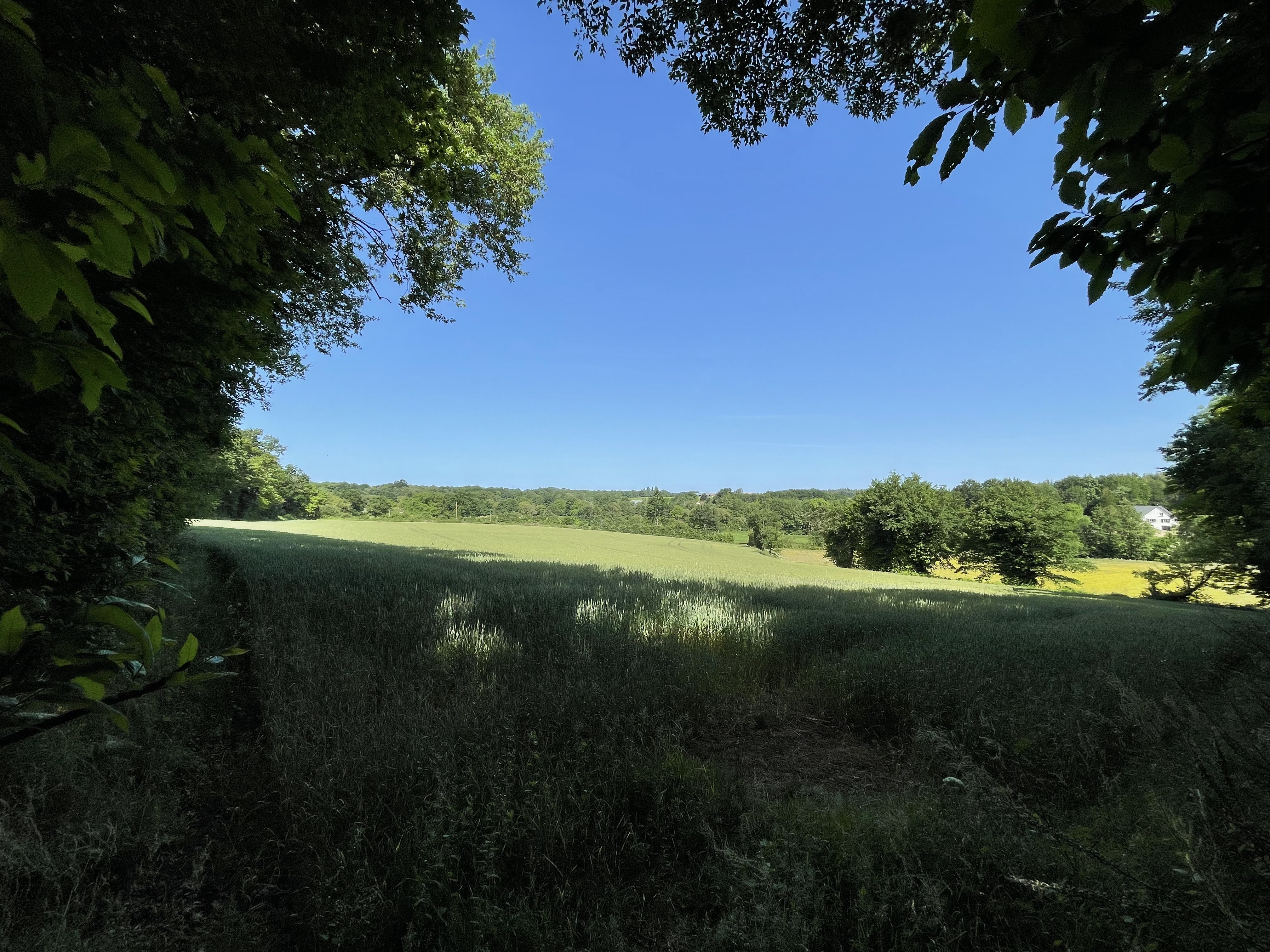 Photo n° 6 de l'avis de Tanguy.a fait le 25/05/2022 à 08:04