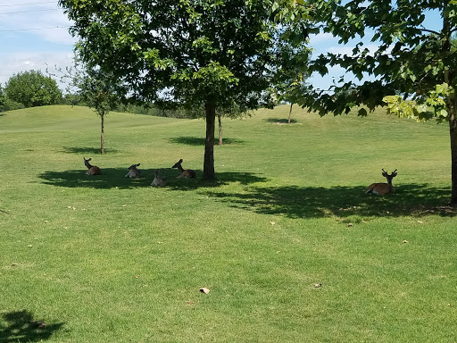 Public Golf Course «Landa Park Golf Course at Comal Springs», reviews and photos, 180 Golf Course Rd, New Braunfels, TX 78130, USA