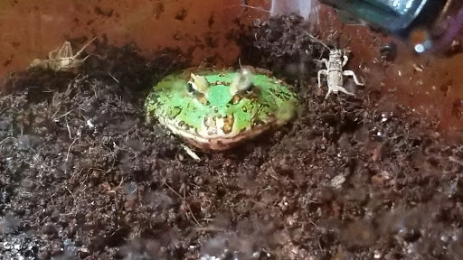 Pet Supply Store «Petco Animal Supplies», reviews and photos, 11633 Ulysses Ln NE #200, Blaine, MN 55434, USA