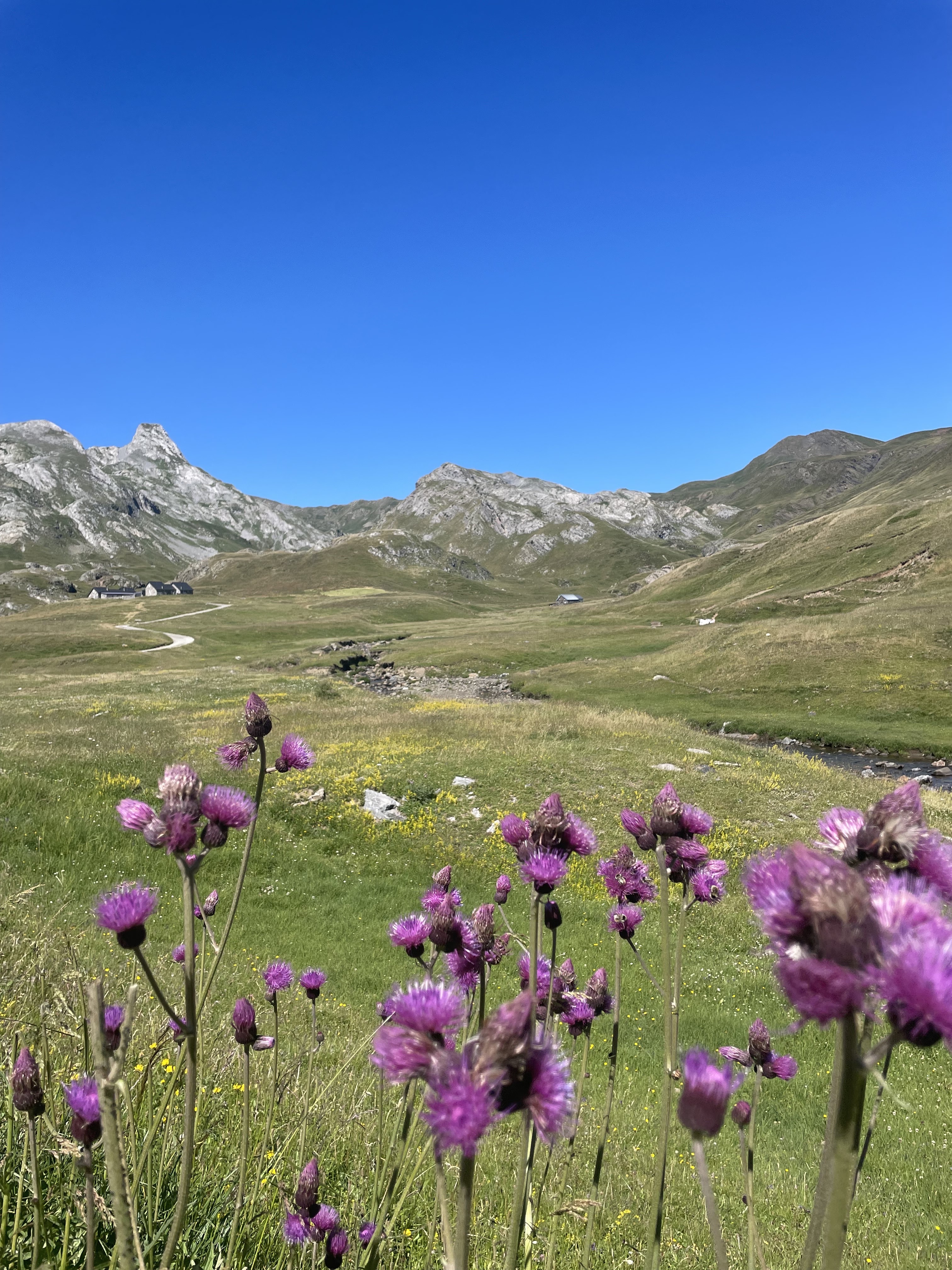 Photo n° 1 de l'avis de a.a fait le 01/07/2022 à 20:35