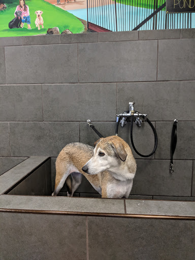 Pet Store «Pet Valu», reviews and photos, 40 Washington Ave, Dumont, NJ 07628, USA