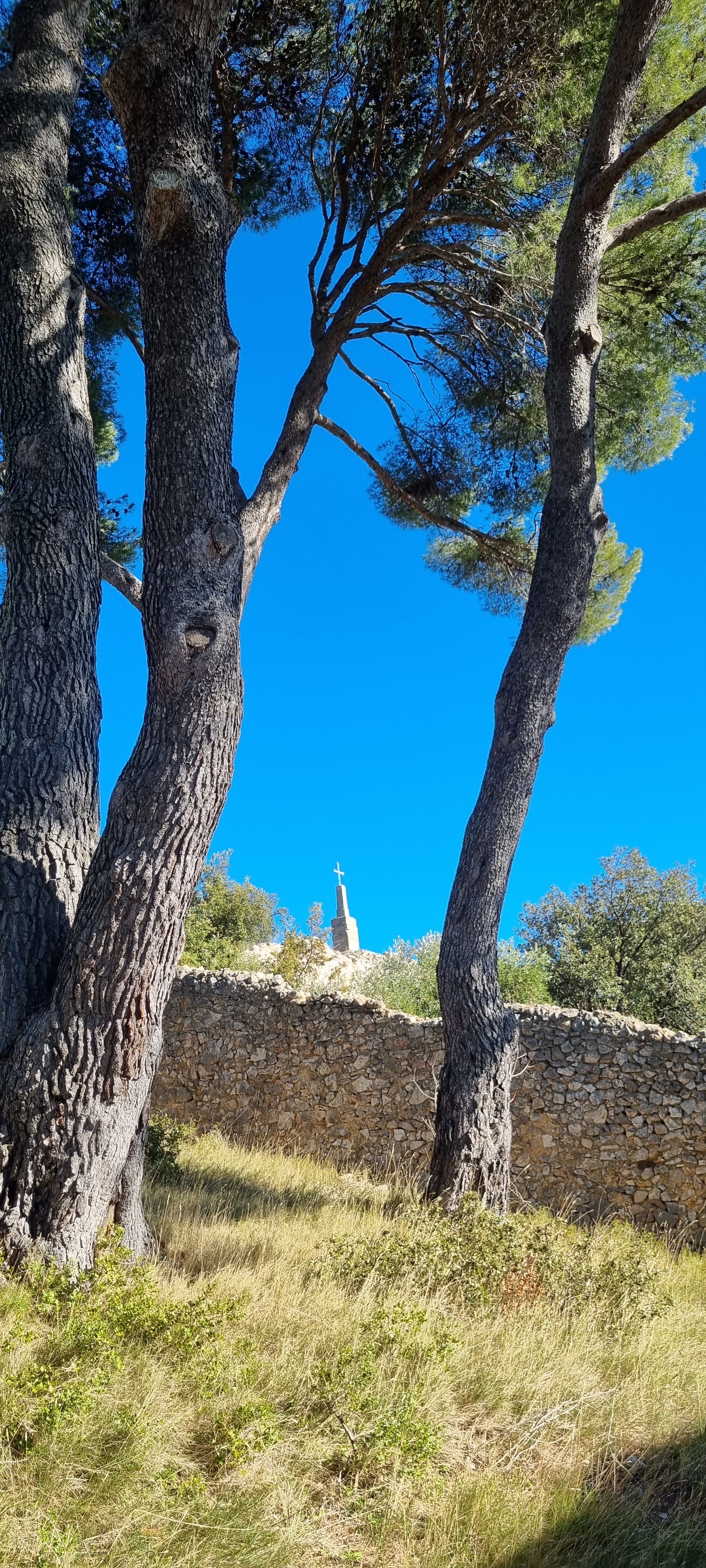Photo n° 9 de l'avis de Thirion.e fait le 23/01/2022 à 13:02