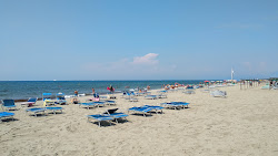 Spiaggia della Lecciona'in fotoğrafı çok temiz temizlik seviyesi ile
