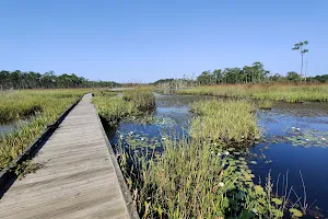 Big Branch Marsh National Wildlife Refuge image