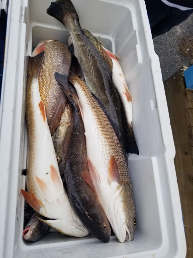 Seafood Market «Fulton Harbor Bait & Seafood», reviews and photos, 250 Deforest Loop, Fulton, TX 78358, USA