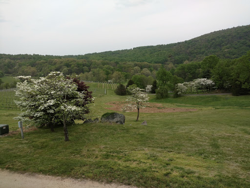 Vineyard «Linden Vineyards», reviews and photos, 3708 Harrels Corner Rd, Linden, VA 22642, USA