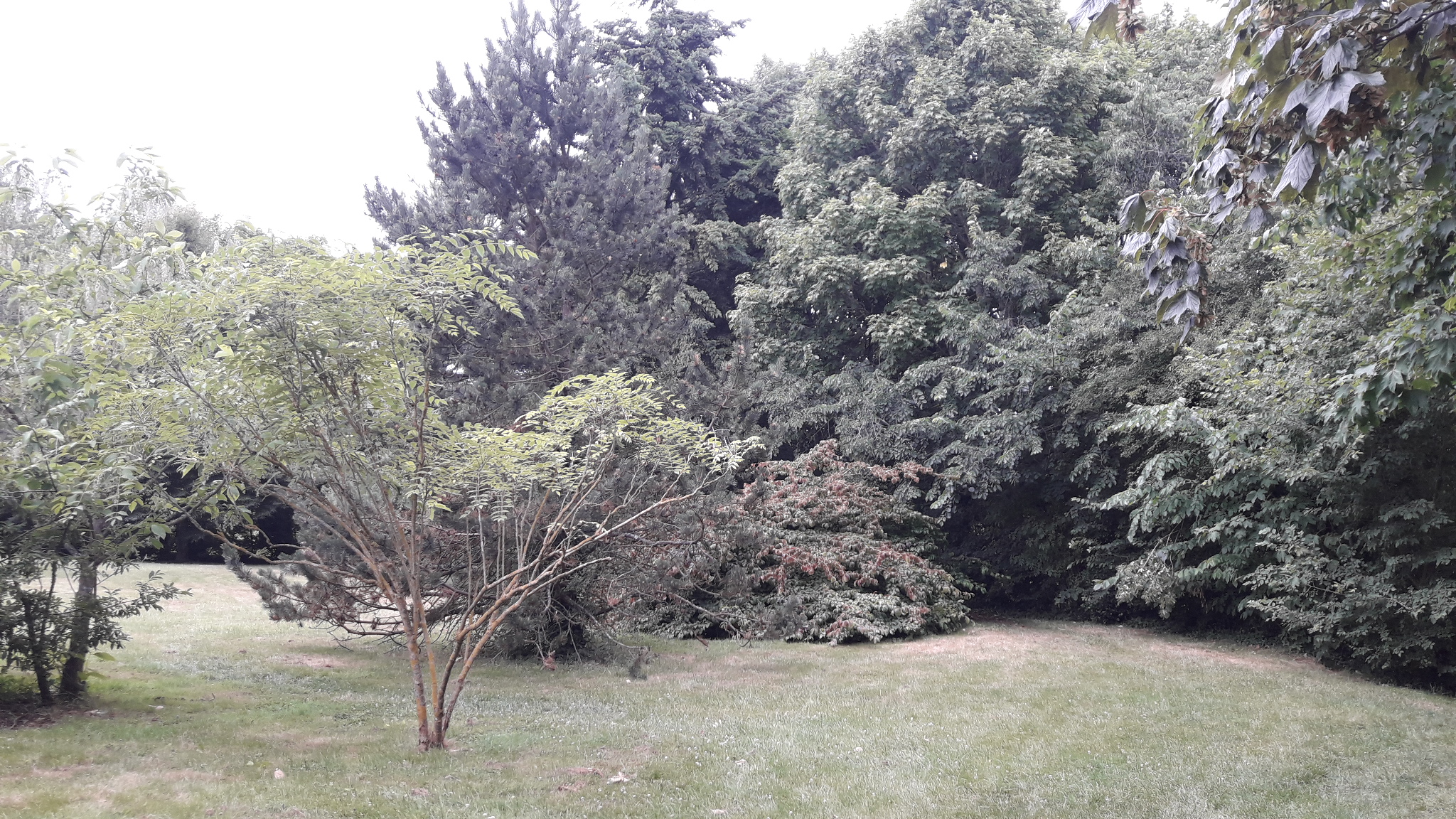 Photo n° 1 de l'avis de leb..o fait le 28/06/2017 à 13:06