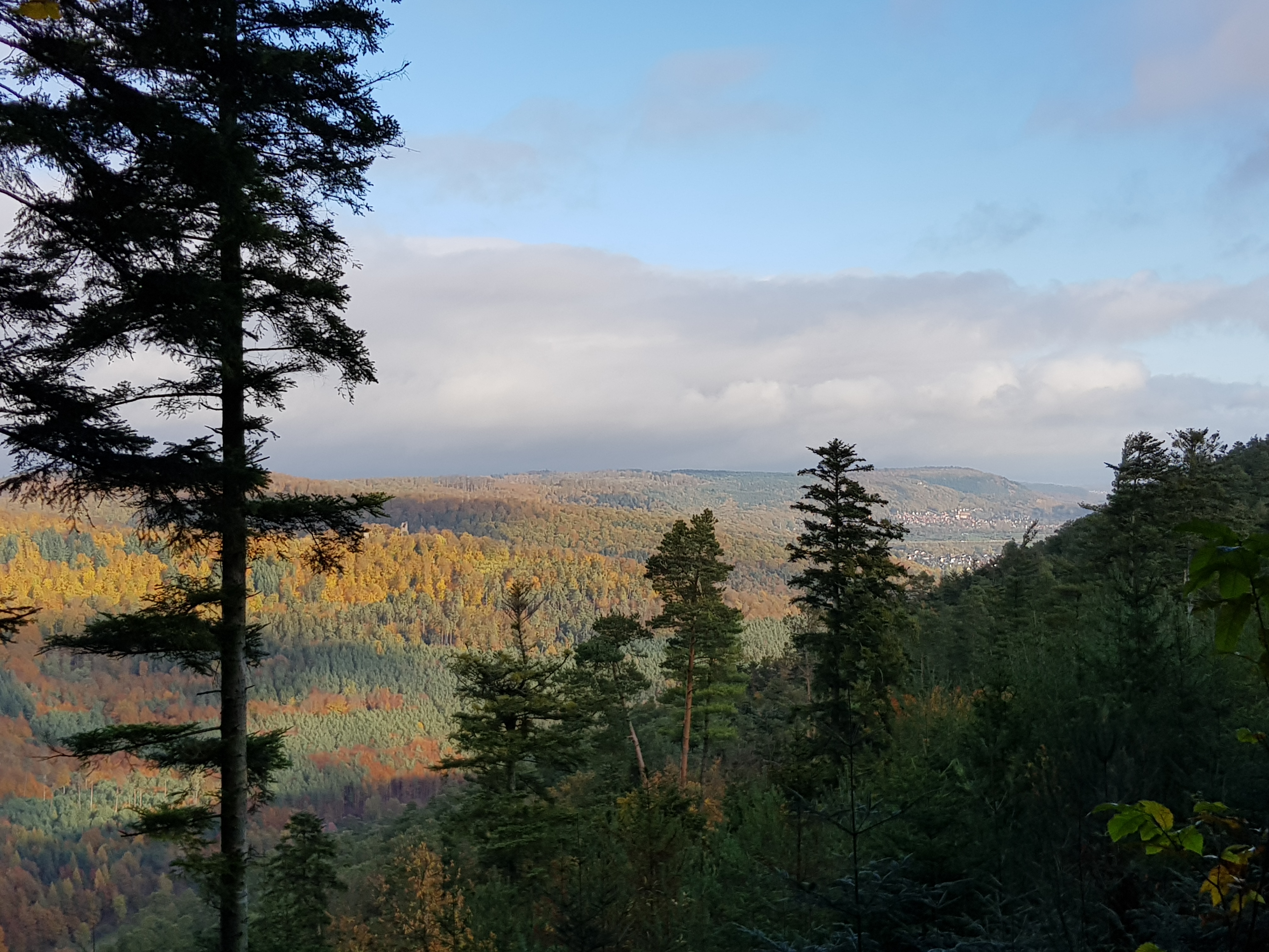 Photo n° 21 de l'avis de Roland.c fait le 09/11/2019 à 18:18